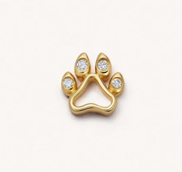 Charm "Amor de Animal de Estimação"
