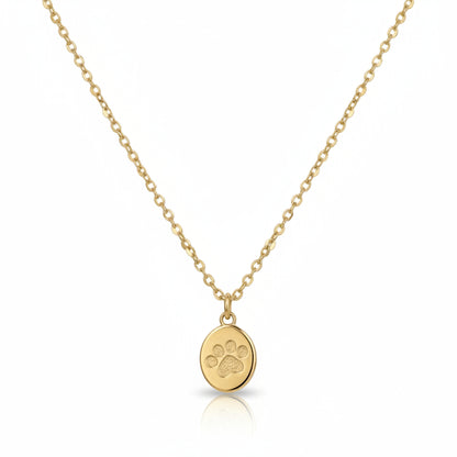 OFERTA 2x1 | Cadena + Colgante "Amor de Mascota" + Pulsera