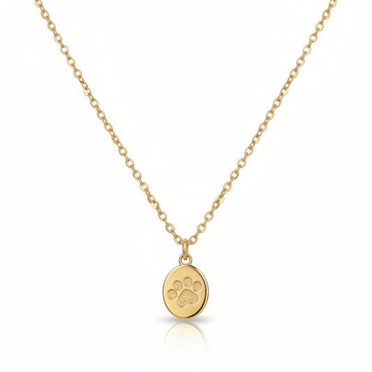 OFERTA 2x1 | Cadena + Colgante "Amor de Mascota" + Pulsera